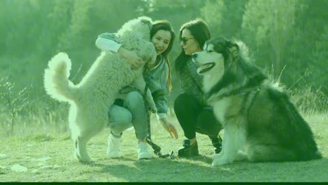 Two Women With Two Dogs