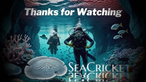 SeaCricket - Praise and Worship - 7:30 EST