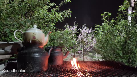 NIGHT time GARDEN Healing fire sound