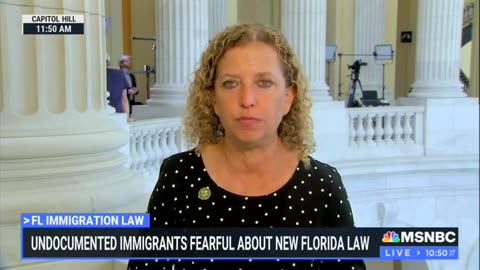 Dem Rep Says DeSantis' Crackdown On Illegal Migrants Will Leave Crops 'Rotting In The Fields'