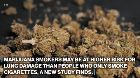 Marijuana smokers could be at more risk for emphysema than cigarette smokers_ Study