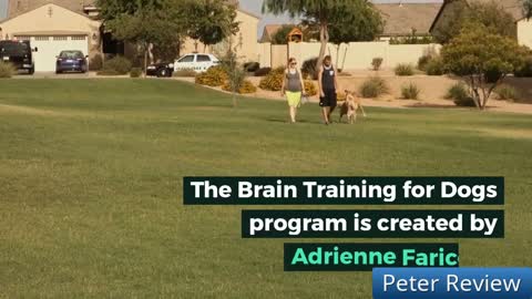 Brain Training for Dogs - Unique Dog Training Course! Easy Sell!