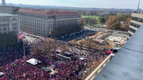 Trump DC Red MAGA Wave