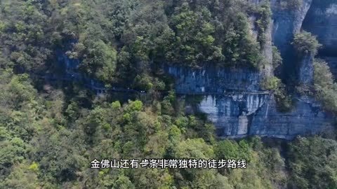 The azaleas all over the mountains and plains are all in Jinfo Mountain, Chongqing, China.