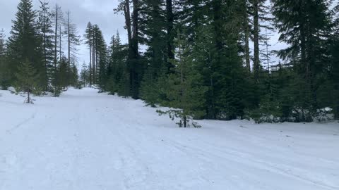 Steady Climb up the Mountain – Potato Hill Sno-Park – Central Oregon – 4K