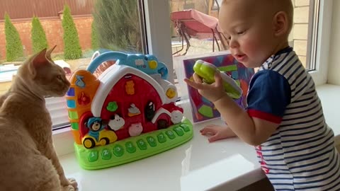 A Cute Baby Playing with His Toys and Cat ,,,,