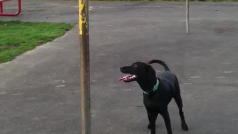 Riley playing tetherball