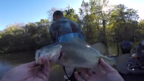 How to Bass fishing using the Texas Rig for beginners.