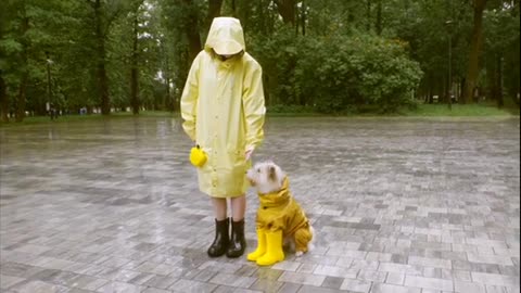 Girl having fun with dog🥰🤗🐹