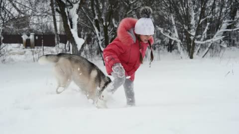 Young girl playing with siberian husky malamute dog on the snow outdoors in winter forest park