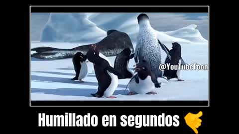 Top 10 peores insultos 🥶 | Happy Feet meme