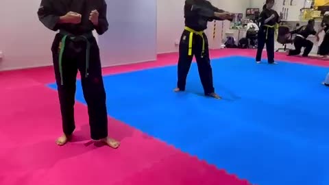 Hapkido