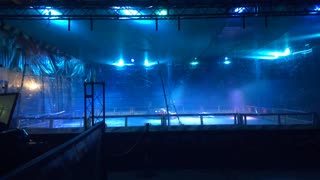 Robot Wars Gloucester 2015: Shockwave Vs Shumey 2 Vs Steel Avenger