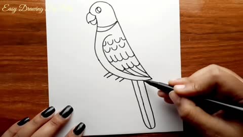 Parrot Drawing -- How to Draw Parrot Step by Step for Beginners -- Bird Drawing Colour