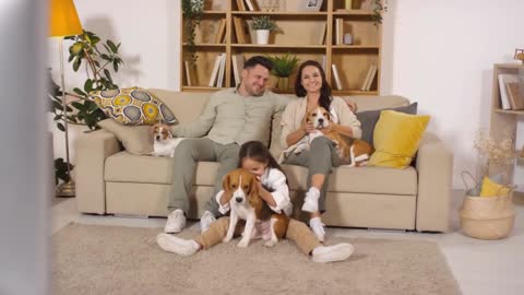 happy girl sitting on the floor in living room and cuddling cute puppy