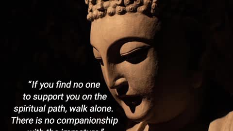 Quote of buddha for child.