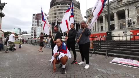 Anti Vax Mandate & Freedom Protests, New Zealand Parliament, Wellington, 11.02.22