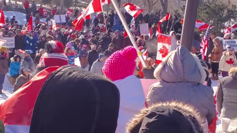 Protest for Freedom Alberta