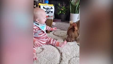 Cutest Babies Play With Dogs And Cats Compilation