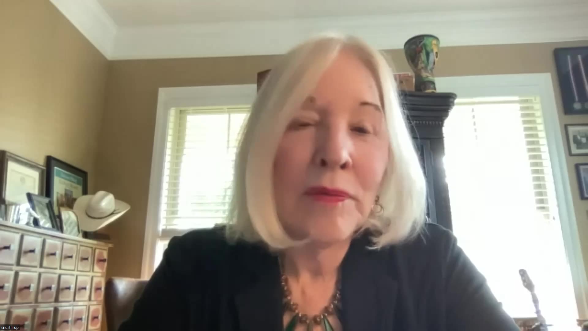 DR CHRISTIANE NORTHRUP RUMBLE visual data 4