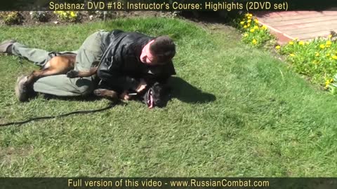 How to defend against a dog. Self defense against dog attack