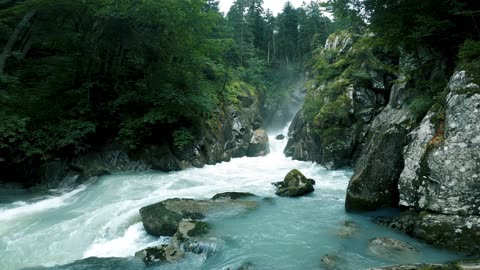 Relaxing Water Sound for Instant Sleep | Beautiful River Video for Study, Focus and Sleep