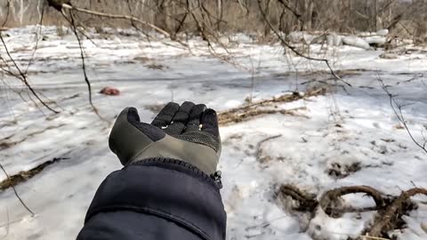 Friendly Black capped chickadees and White breasted nuthatch hand feeding winter 2021,Canada, Ontario