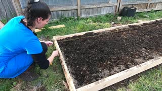 Backyard Urban Garden - Planting!! Spring 2022