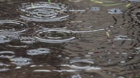 HD Rain Video with Lovely Soundtrack | HD Rain Video | Calming Rain Video