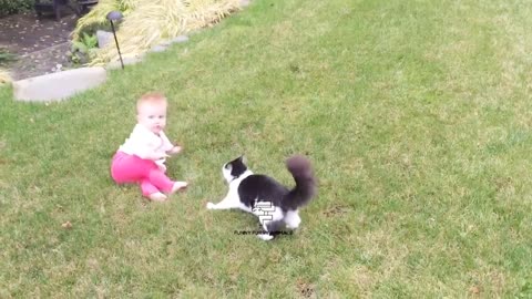 Baby and Cats Playing Together Funny Baby and pets (Moments(