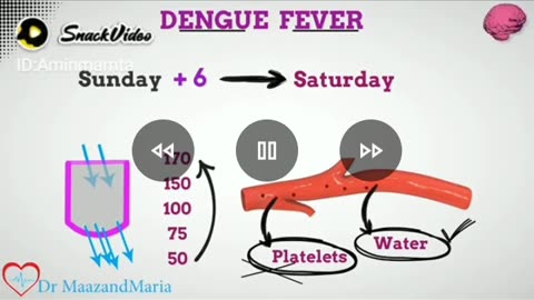 DENGUE FEVER