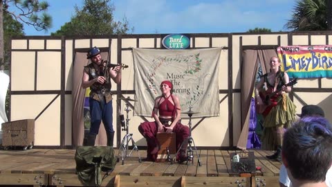 Brevard Renaissance Fair 2020: Music the Gathering - Rolling Down to Old Maui (11)