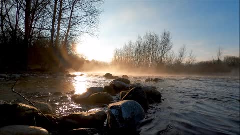 Flowing river and Birds singing | sounds to help you sleep | Calm nature | Night sounds for sleeping