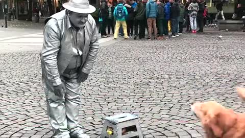 Dog amazed by street performer