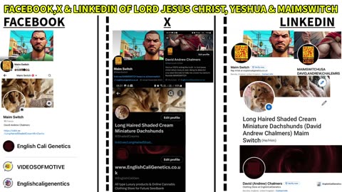 FACEBOOK, X, LINKEDIN OF LORD JESUS CHRIST,(YESHUA) (MAIM SWITCH)