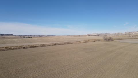 Cattle Drive - to SH71 field - #1