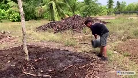 Mexico's President Suggests U.S. Citizenship in Exchange for Planting Trees