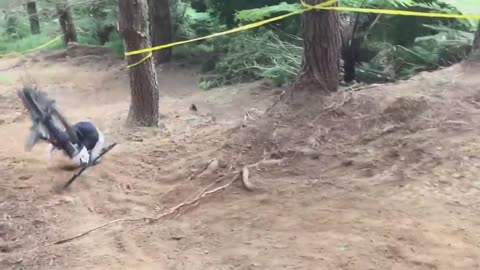 Best MTB Fails Of 2022 #1