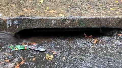 Clear those basins! South Bronx man has great advice to help deal with nor'easter flooding in NYC