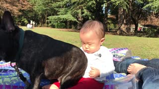 Dog Finds Proper Place to Sit