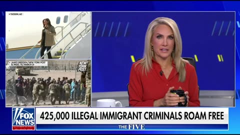 ICE announced: 13K migrant murderers and 15K rapists known to be in Country