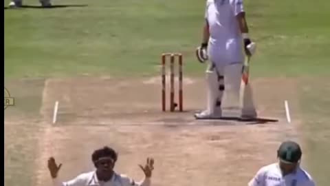 Funny Cricket Videos