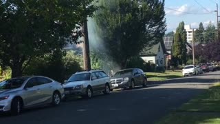 Power Line Arcs out Through Tree