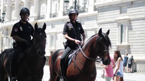 "Horsepower isn’t just for cars. 🚗 Meet our four-legged engines of joy! #HorsePower"