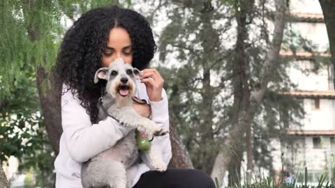 Young woman in a park carrying her schnauzer dog