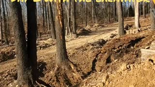 Day 2 - Pushing over trees with an excavator