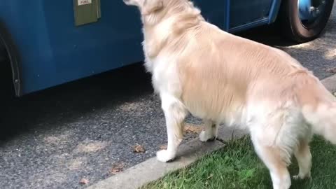 Delicious Ice Cream Cones for Diesel