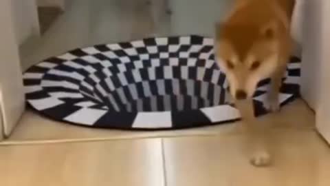 Funny dog afraid of art work