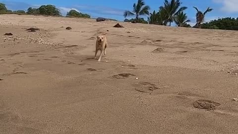 beachgirl#oceanlove#smileygirl