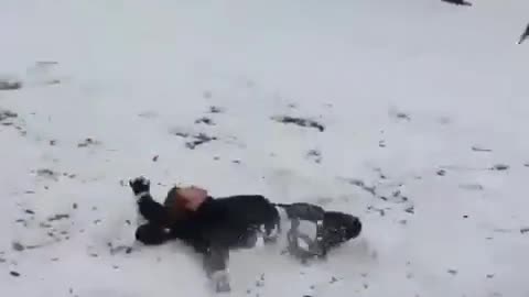 Snowboard flip while drunk